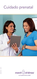 Prenatal Care (Spanish) Digital Version